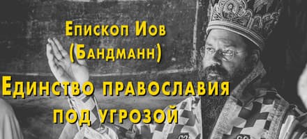 Единство православия под угрозой: возможные решения